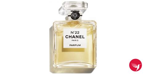 chanel no 22 fragrantica|where to buy chanel 22.